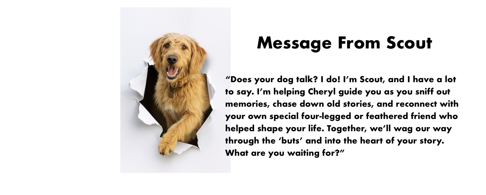 Scout bursting through paper next to the text Message From Scout inviting you to join the Memoir Unleashed writing experience